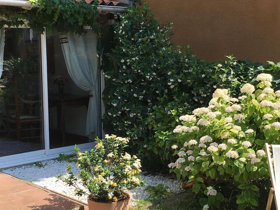 Апартаменты Studio Close Fourviere Very Quiet & Small Terrace Лион Экстерьер фото